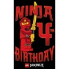 Boy's LEGO®: Ninjago Ninja Kai Birthday 4 T-Shirt - 2 of 4