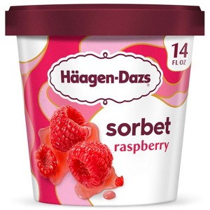 Haagen-Dazs Raspberry Frozen Sorbet - 14oz - 1 of 4