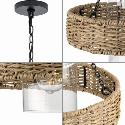 Matte Black Glass Drum Indoor/Outdoor Pendant Light