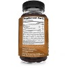 Sunergetic Premium Mushroom Gummies Supplement -Immune Health, Brain, Stress Support - Blend with Lions Mane, Chaga, Reishi, Turkey Tail, Cordyceps - image 2 of 3