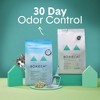 Boxiecat Gently Scented Clumping Plant-Based Cat Litter - 2 of 4
