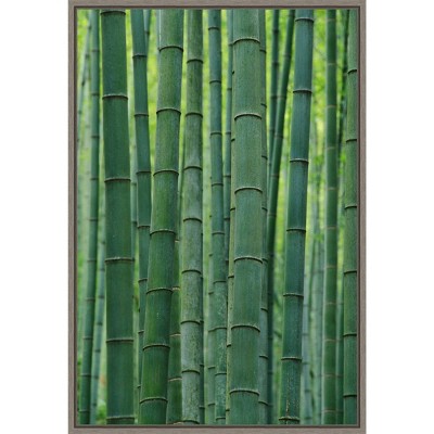 16" x 23" Bamboo Forest Greenery I by Keren Su Danita Delimont Framed Canvas Wall Art - Amanti Art
