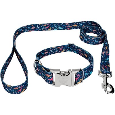 Country Brook Petz Premium Pink Sharks Dog Collar and Leash (1 Inch, Medium)