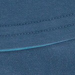 blue, cookie monster