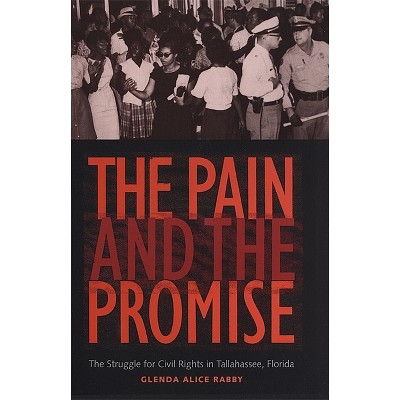 The Pain and the Promise - by  Glenda Alice Rabby (Paperback)