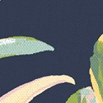 simone blue tropical