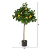 Nearly Natural 4-ft Lemon Tree Artificial - 2 of 4