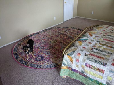 Guest review image 1 of 1, zoom in