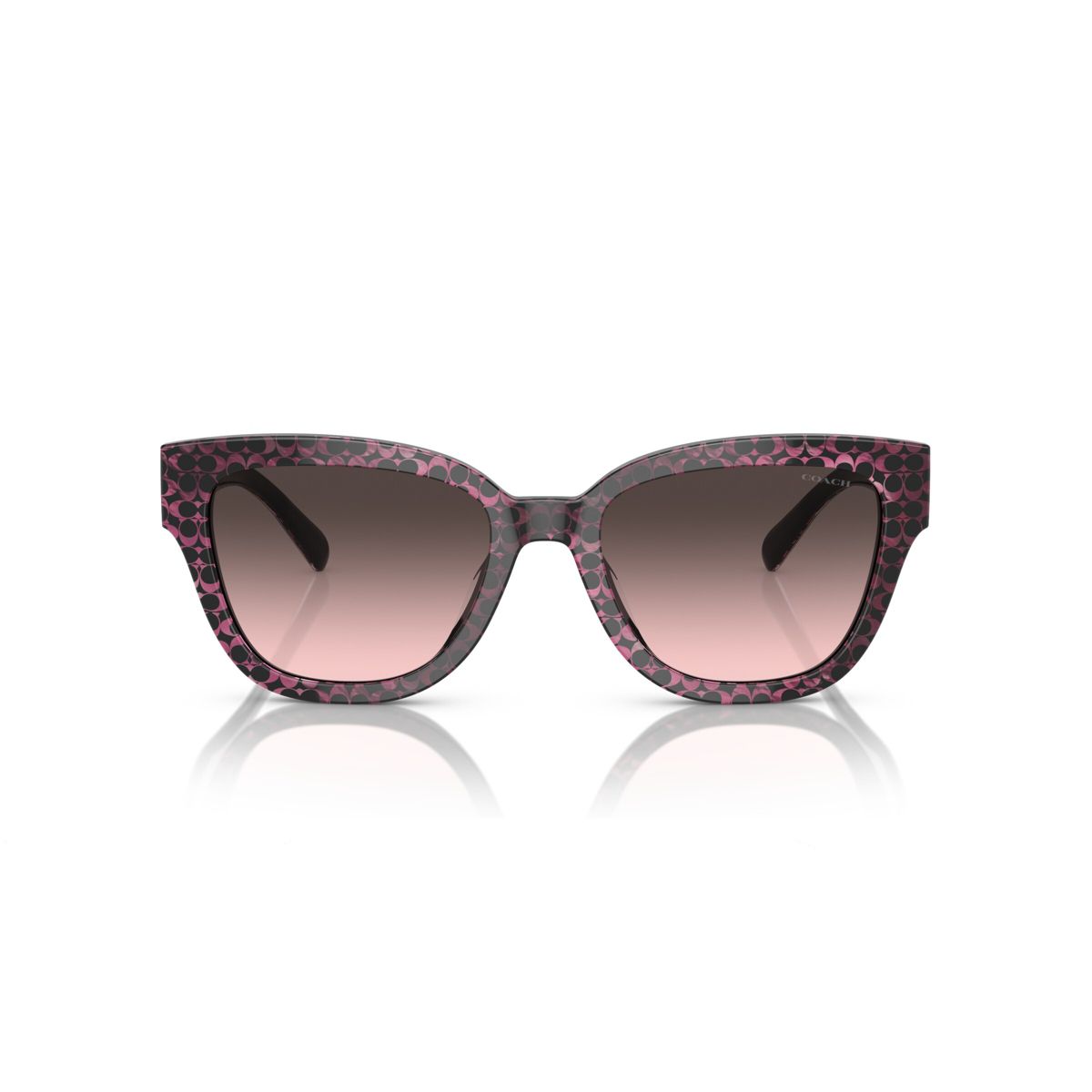 Coach HC8379U 54mm Female Butterfly Sunglasses - thumbnail 8