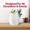 Smarty Had A Party 12 oz. White w/ Gold Elegant Stemless Plastic Wine Glasses - 32 pcs - 3 of 4