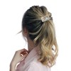 Unique Bargains Women's Trapezoid Splicing Ponytail Buckle Hair Clip 1 Pc - 3 of 4