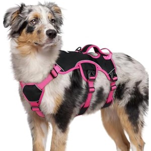 rabbitgoo Escape Proof Dog Harness Medium, Soft Padded Full Body Pet Harness, Reflective  Training, Pink & Black, M - 1 of 1