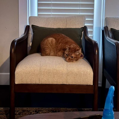 Guest review image 1 of 1, zoom in