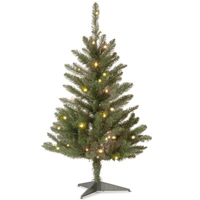 Photo 1 of 3ft National Christmas Tree Company Kingswood Fir Artificial Christmas Tree 50ct Bulb Clear