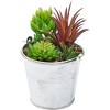 Juvale 4 Pack Artificial Succulents Plants, Faux Fake Cactus with Iron Bucket for Garden & Patio Decor, 6.5 in - 2 of 4