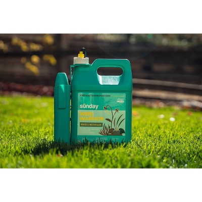 Sunday Weed Warrior Herbicide - Thumbnail 2