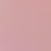 galah