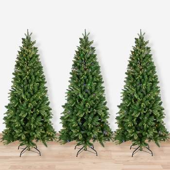 Northlight Real Touch™️ Pre-Lit Washington Frasier Fir Multi-Function Slim Christmas Tree - 7.5' - Dual Color LED Lights