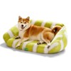 Mewoofun Fluffy Soft Dog Bed Couch, Large Cat Sofa for Dogs &Cats,Green & White,35.5 x 23.6 - 4 of 4