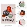 Mixed Pattern Pumpkins "Welcome" Garden Suede Flag, SNL - 4 of 4