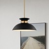 Nuvo Lighting Perkins 1 - Light Pendant in  Matte Black/Burnished Brass - 3 of 4