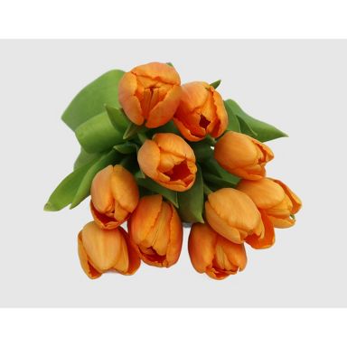 Fresh Cut Orange Tulips - 10 Stems