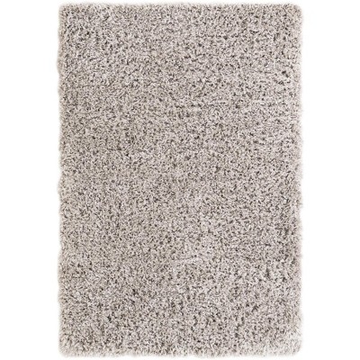 Silver Screen Shag 4x6 ft Rectangular Area Rug with Braided Fringe