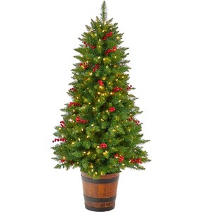 Nearly Natural 5-ft Colorado Aspen Pre-Lit Artificial Porch Christmas Tree with 200 LED lights - 1 of 4