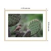 Amanti Art Cactus Wren on Cactus by Brandon Gregorius Wood Framed Wall Art Print - 3 of 4
