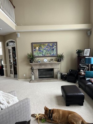 Guest review image 1 of 4, zoom in