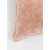 Chery Life Stonewashed Cotton Velvet Throw Pillow with Decorative Handstiched Edges-19X19" - 4 of 4