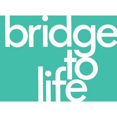 Bridge to Life (Green) 25-Pack - (Paperback)