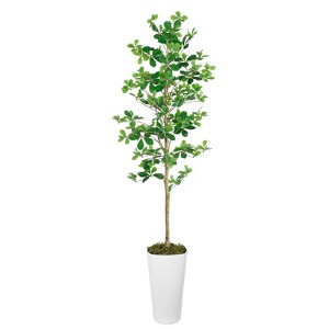 6ft Artificial Ficus Tree in Square Round Pot, Realistic Faux Indoor Plant, Tall Fake Tree for Home & Office Decor - 1 of 4