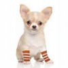 Unique Bargains Dog Leg Warmers Winter Warm Knitted Joint Protection Suitable for Kitten Puppies - 3 of 4