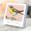 TF Publishing 2025 Daily Desktop Calendar 5.25"x5.25" Birds Backyard and Beyond - image 3 of 4