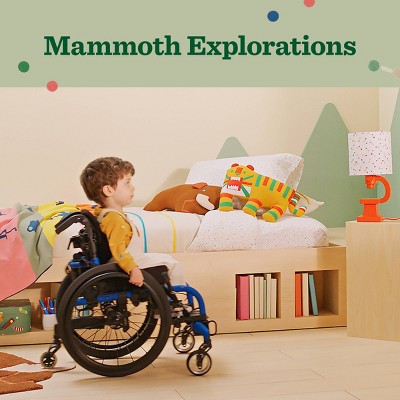 Christian Robinson x Target Mammoth Exploration Collection