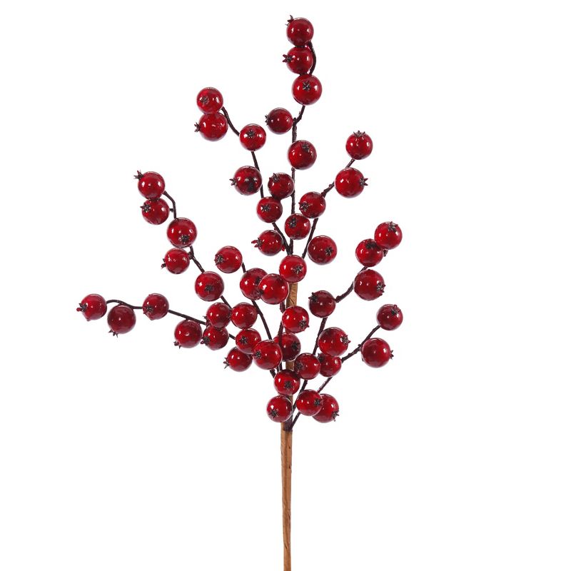 Vickerman Red Gooseberry Artificial Christmas Wreath, 1 of 4