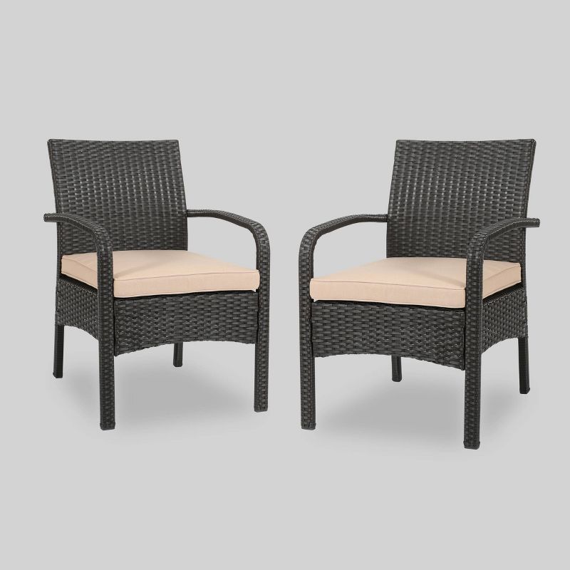 Cordoba 2pk Wicker Club Chairs - Brown - Christopher Knight Home, 1 of 6