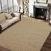 Realistic Braided Area Rug – Non-Slip, Soft, Stain-Resistant, Thin Carpet for Indoor Spaces - 2 of 4
