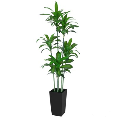 6FT Dracaena Draco Artificial Dragon Tree Realistic Dracaena Fragrans Faux Tree with Black Pot for Home Office Indoor Outdoor Decor