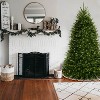 6.5' Prelit Hinged Dunhill Blue Fir Artificial Christmas Tree Clear Lights - National Tree Company - 2 of 4