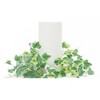 Lifelike Ivy Candle Ring Set of 6 3.5 Inch Height for Mantels and Centerpieces By Melrose - 3 of 3