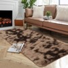 Fluffy Rug Feet Extra Large Plush Shaggy Rugs for Living Room - 3 of 4