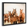 Stupell Industries Horse & Foals Photography, 21" x 17" - 3 of 4