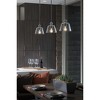 Progress Lighting, Polished Nickel Collection, 1-Light Mini-Pendant, Clear Glass Shade, Steel Material - 3 of 4