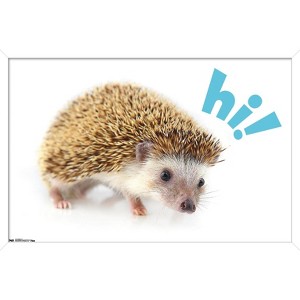 Trends International Cute Hedgehog - Hi! Framed Wall Poster Prints - 1 of 4