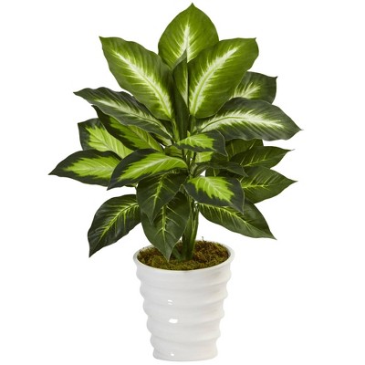 22" x 15" Artificial Dieffenbachia Plant in Swirl Planter - Nearly Natural