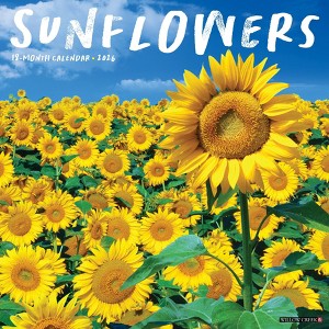 Willow Creek Press 2026 Sunflowers Wall Calendar - 1 of 4