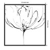 Amanti Art Whisper 2 (Flower) by Lesia Binkin Canvas Wall Art Print Framed 22 x 22-in. - 4 of 4