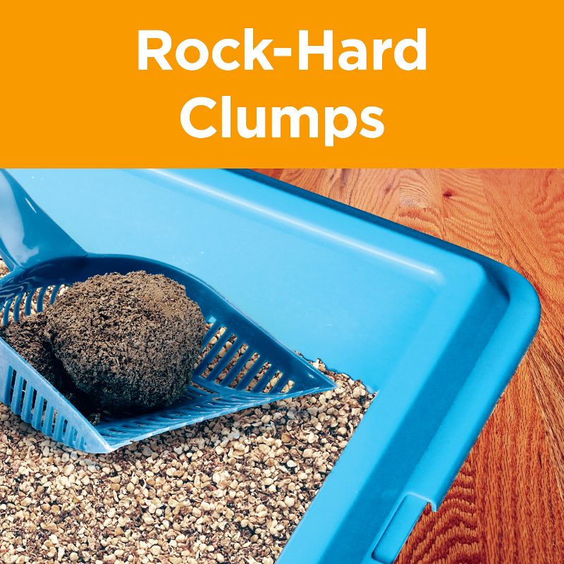 Arm & Hammer Clump and Seal AbsorbX Clumping Cat Litter, 5 of 12